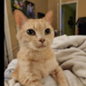 Meet your Posher, Haley